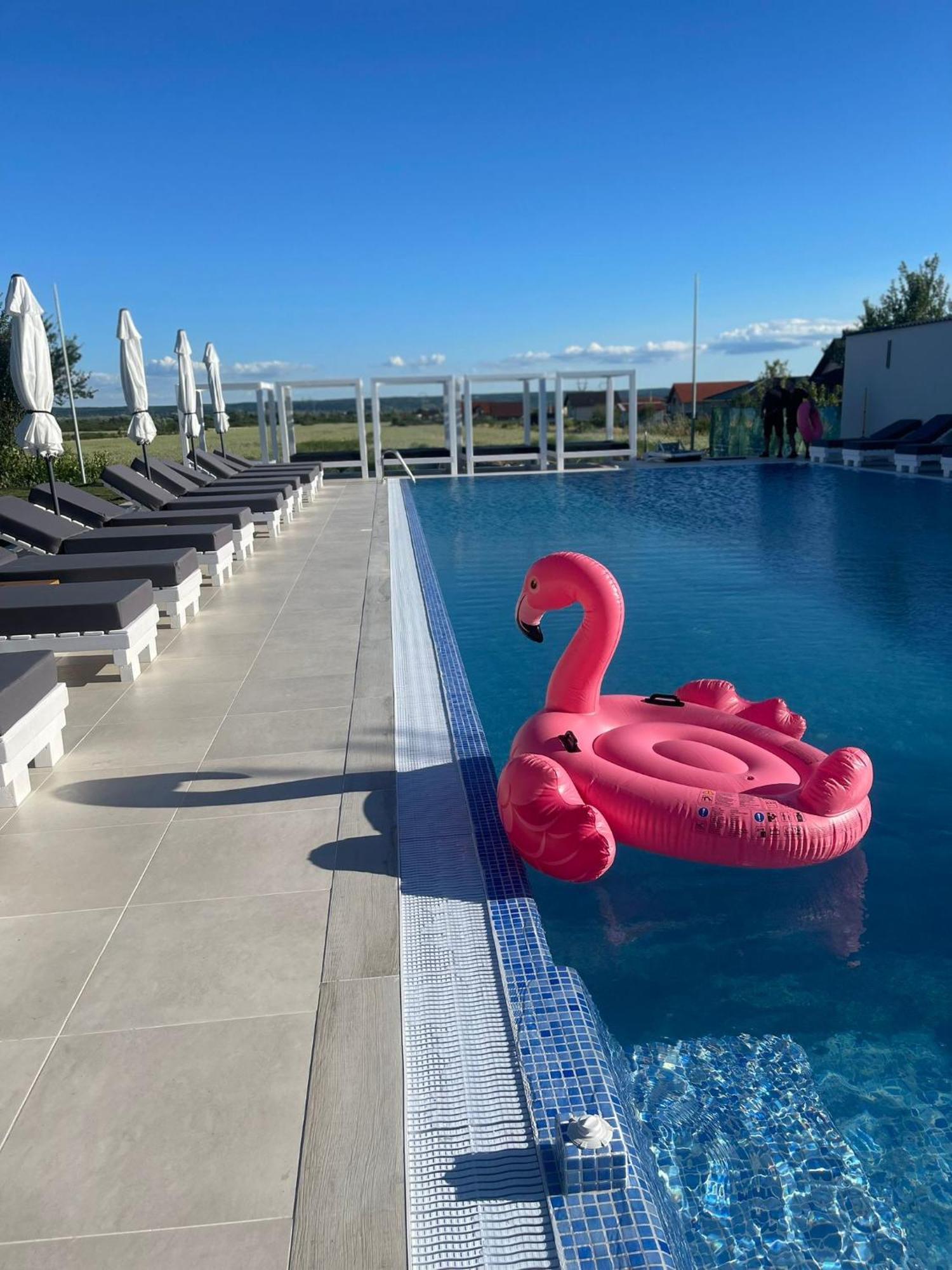 Hotel Goya Boutique Targu Jiu Bagian luar foto